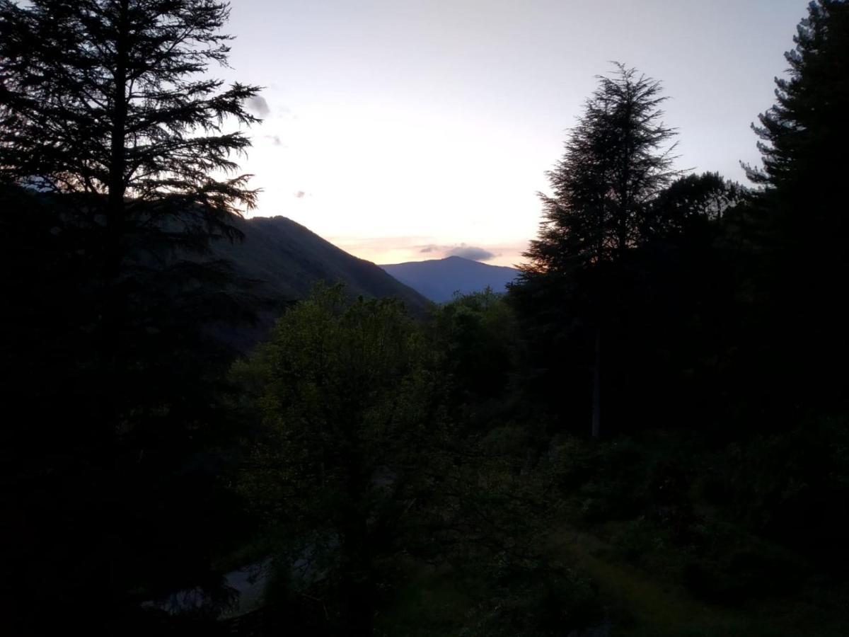 Pura Vida Panzió Valleraugue Kültér fotó